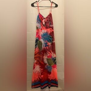 Express maxi dress